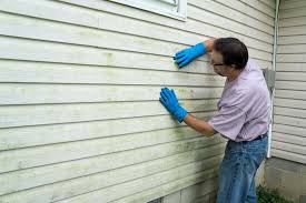 Affordable Siding Repair and Maintenance Services in Lockport, LA